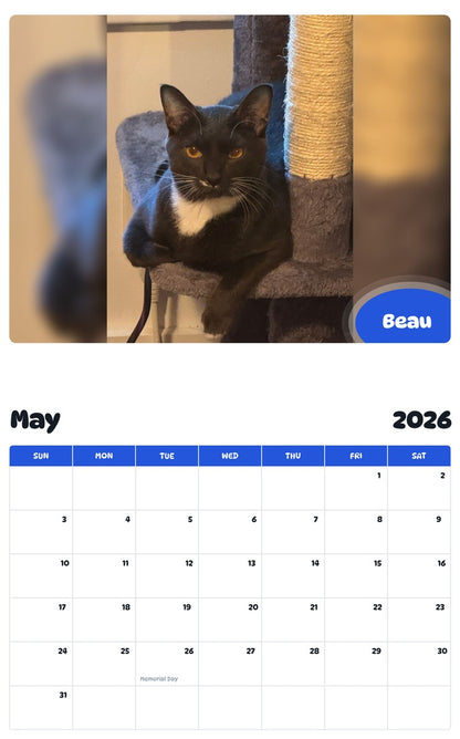 2026 - 2027 Beau - Pawidols Pet Calendar