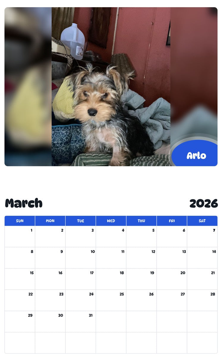 November 2025 - October 2026 Arlo - Pawidols Pet Calendar