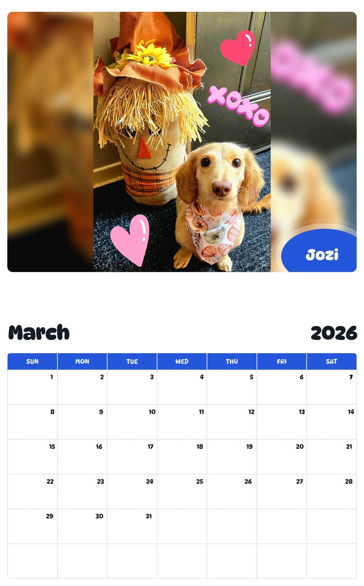 November 2025 - October 2026 Jozi - Pawidols Pet Calendar