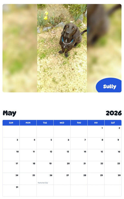 2026 - 2027 Sully - Pawidols Pet Calendar