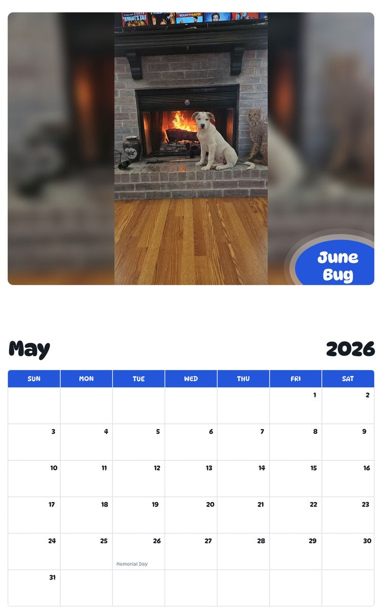2026 - 2027 June Bug - Pawidols Pet Calendar