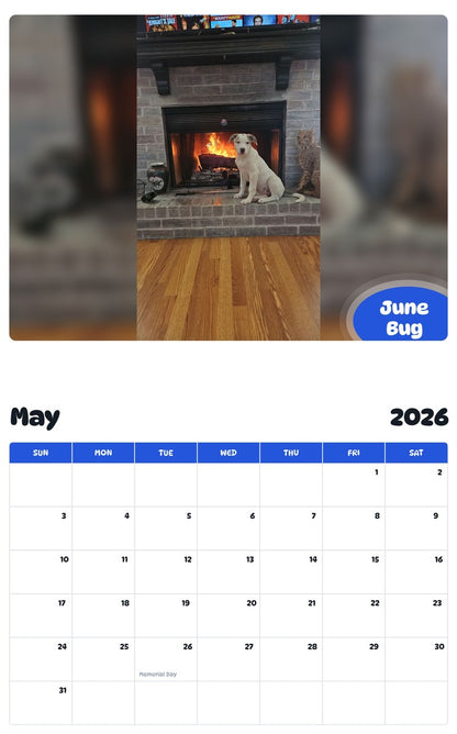 2026 - 2027 June Bug - Pawidols Pet Calendar
