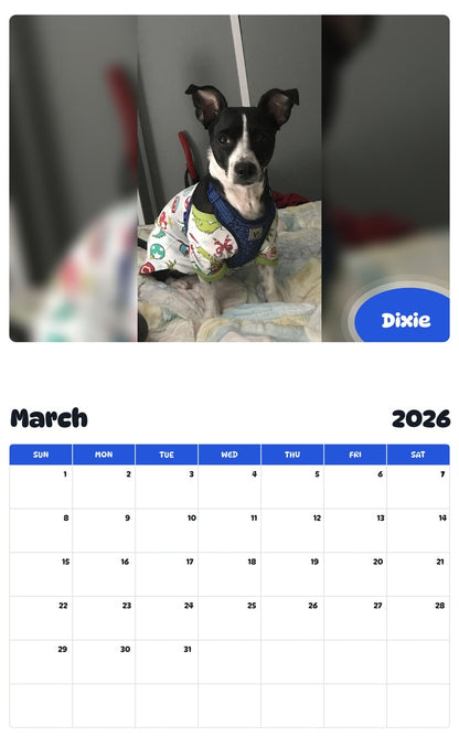 November 2025 - October 2026 Dixie - Pawidols Pet Calendar