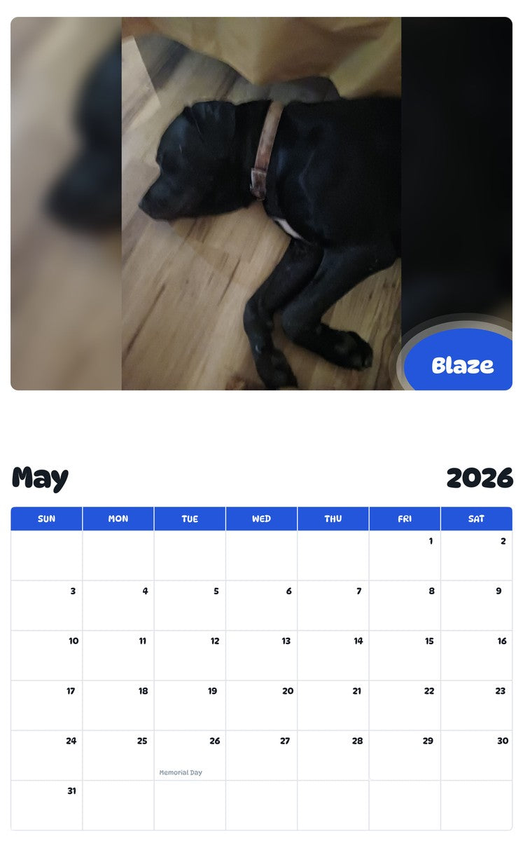 2026 - 2027 Blaze - Pawidols Pet Calendar