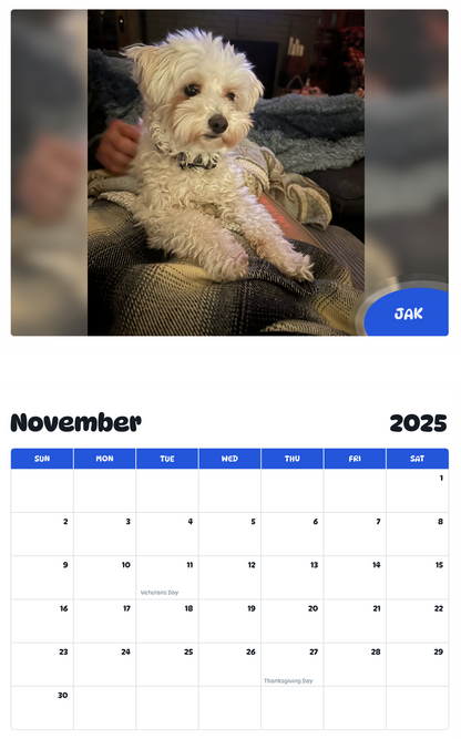 July 2025 - June 2026 Jak - Pawidols Pet Calendar