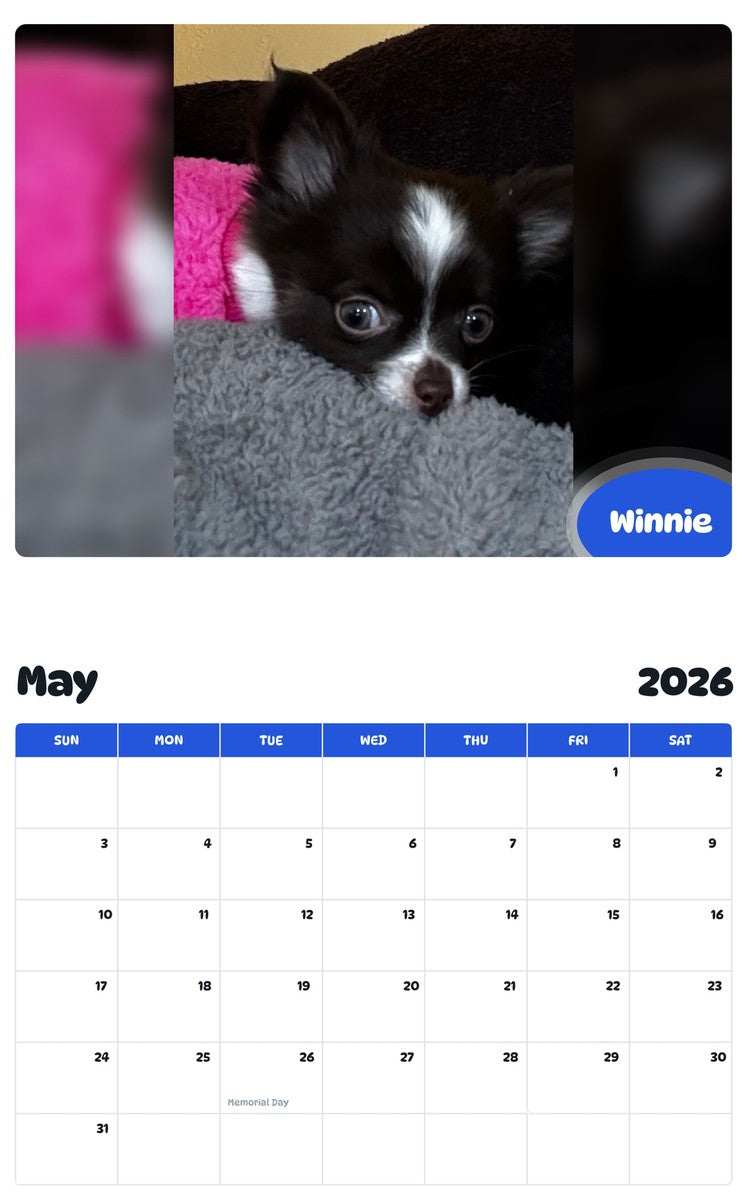 2026 - 2027 Winnie - Pawidols Pet Calendar