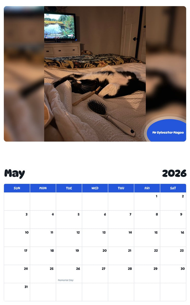 2026 - 2027 Mr Sylvester Magoo - Pawidols Pet Calendar