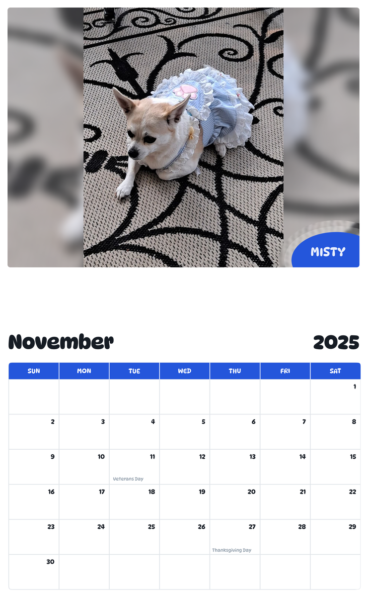 July 2025 - June 2026 Misty - Pawidols Pet Calendar