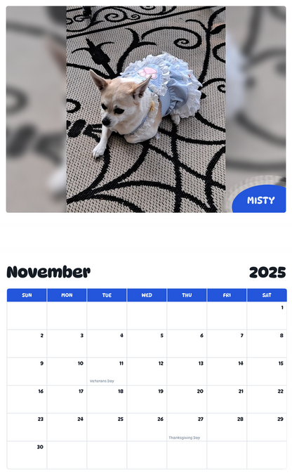 July 2025 - June 2026 Misty - Pawidols Pet Calendar
