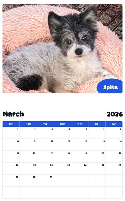 November 2025 - October 2026 Spike - Pawidols Pet Calendar