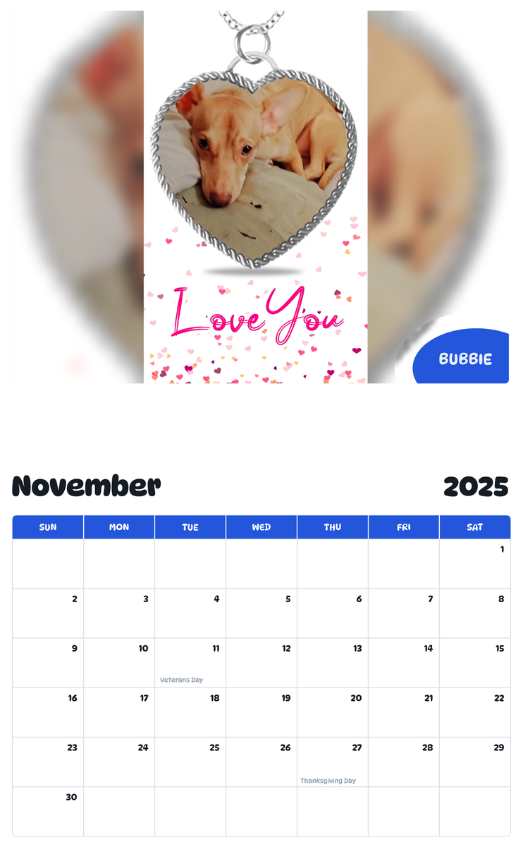 July 2025 - June 2026 Bubbie - Pawidols Pet Calendar