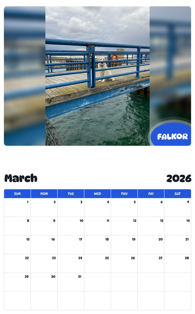 November 2025 - October 2026 FALKOR - Pawidols Pet Calendar