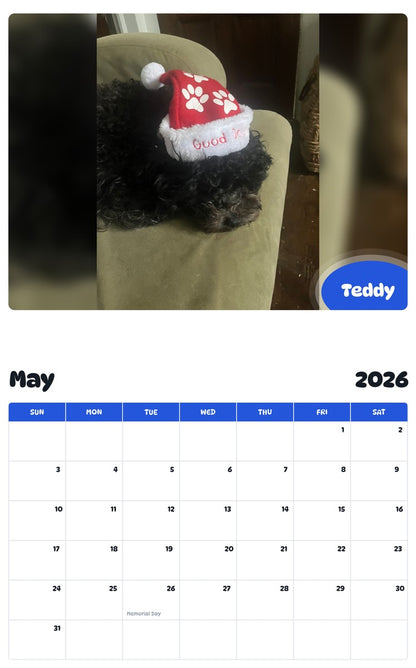 2026 - 2027 Teddy - Pawidols Pet Calendar