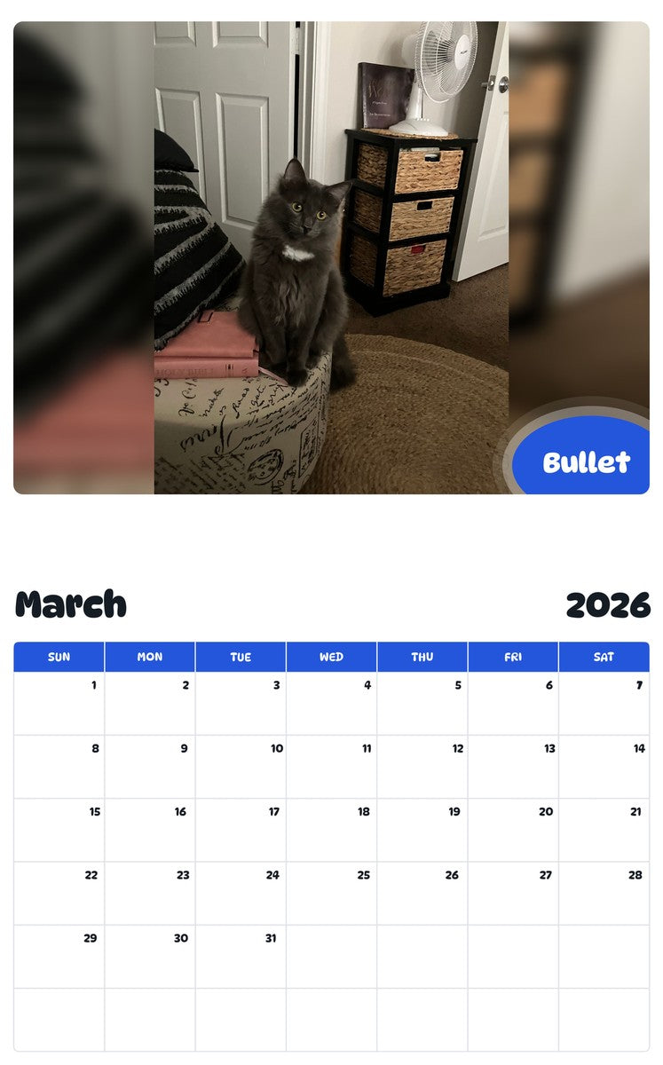 November 2025 - October 2026 Bullet - Pawidols Pet Calendar