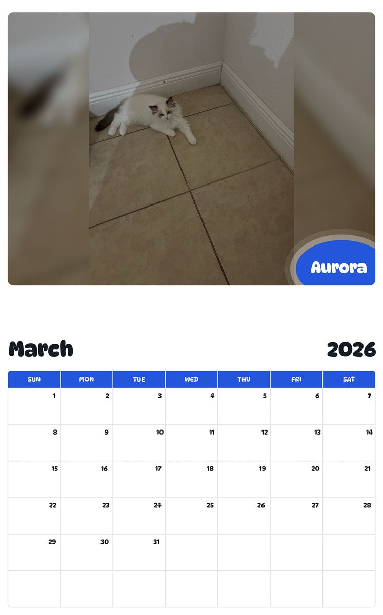 November 2025 - October 2026 Aurora - Pawidols Pet Calendar
