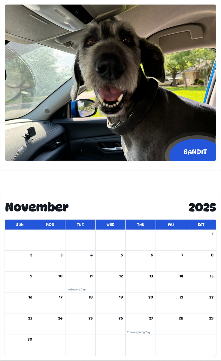 July 2025 - June 2026 Bandit - Pawidols Pet Calendar