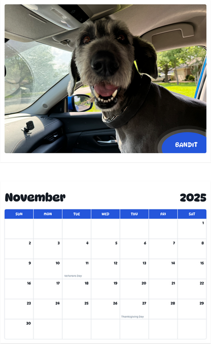 July 2025 - June 2026 Bandit - Pawidols Pet Calendar
