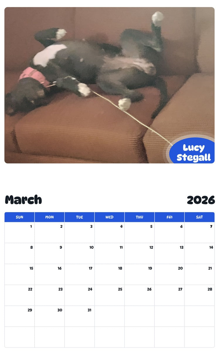 November 2025 - October 2026 Lucy Stegall - Pawidols Pet Calendar