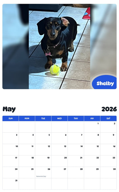 2026 - 2027 Shelby - Pawidols Pet Calendar