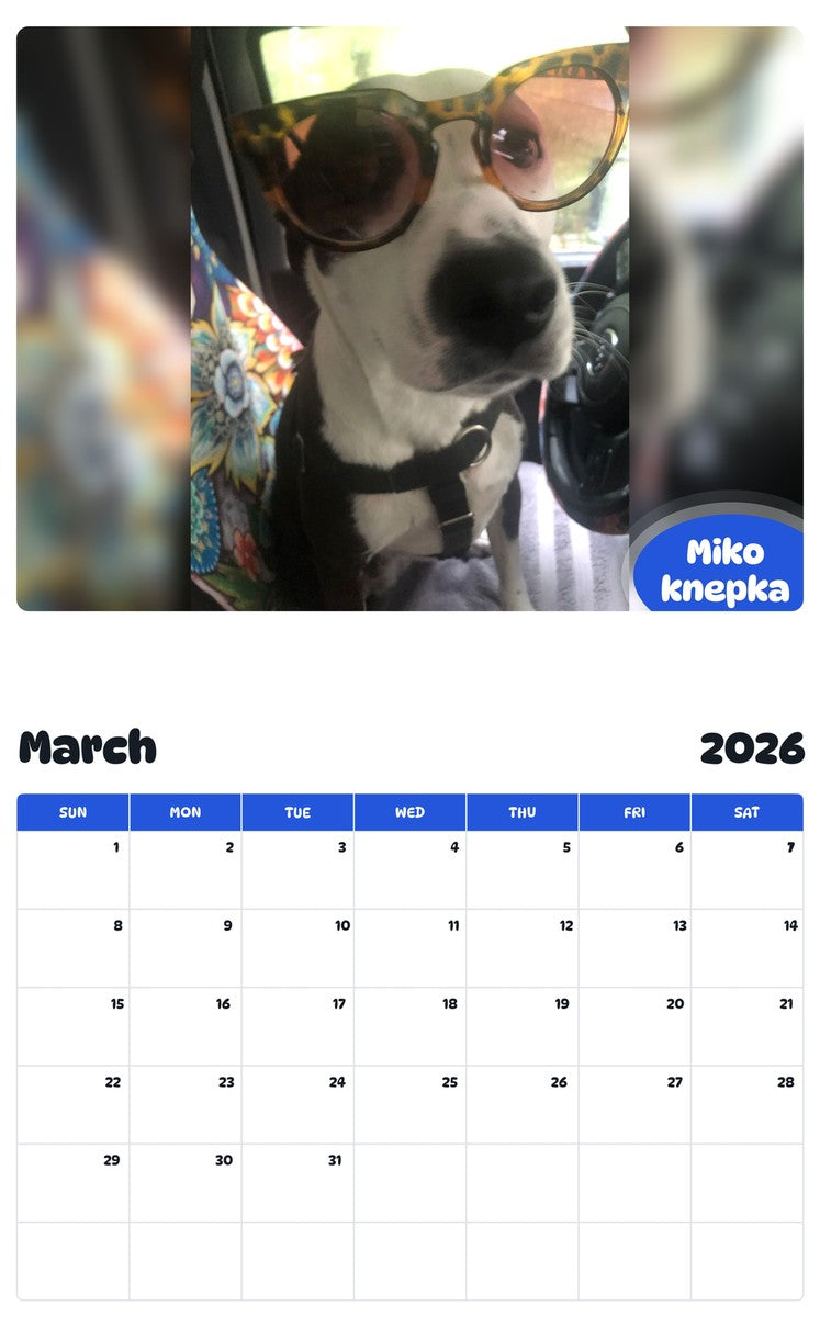 November 2025 - October 2026 Miko knepka - Pawidols Pet Calendar
