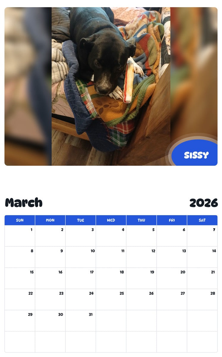 November 2025 - October 2026 SISSY - Pawidols Pet Calendar
