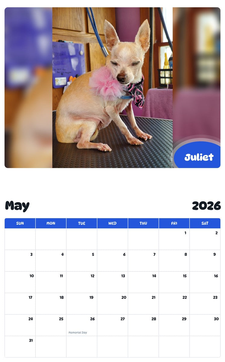 2026 - 2027 Juliet - Pawidols Pet Calendar