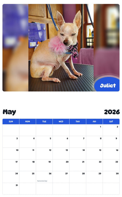 2026 - 2027 Juliet - Pawidols Pet Calendar