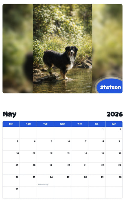 2026 - 2027 Stetson - Pawidols Pet Calendar