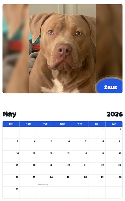 2026 - 2027 Zeus - Pawidols Pet Calendar