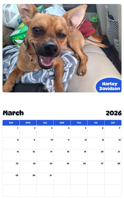 November 2025 - October 2026 Harley Davidson - Pawidols Pet Calendar