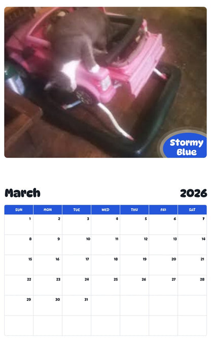November 2025 - October 2026 Stormy Blue - Pawidols Pet Calendar