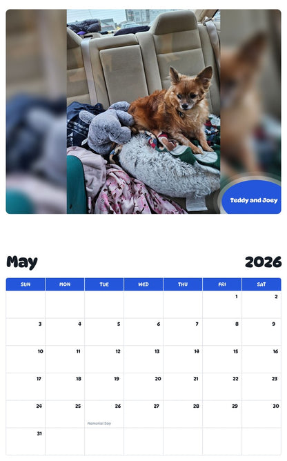 2026 - 2027 Teddy and Joey - Pawidols Pet Calendar
