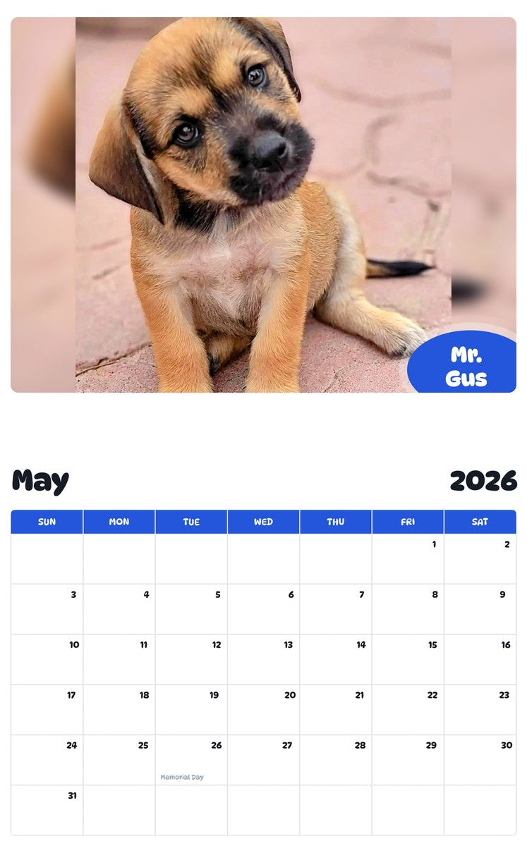 2026 - 2027 Mr. Gus - Pawidols Pet Calendar