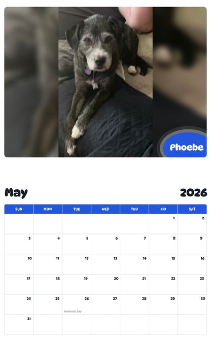 2026 - 2027 Phoebe - Pawidols Pet Calendar