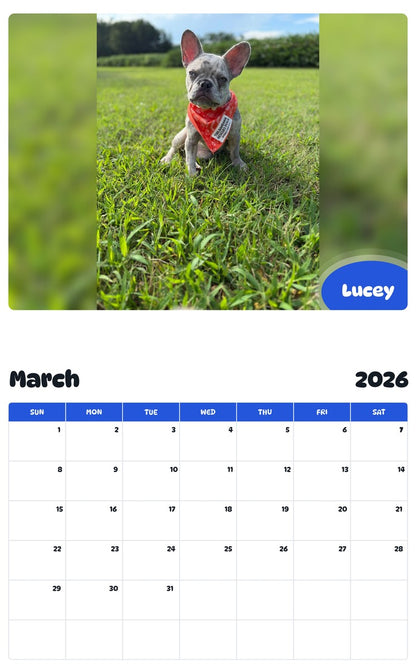 November 2025 - October 2026 Lucey - Pawidols Pet Calendar