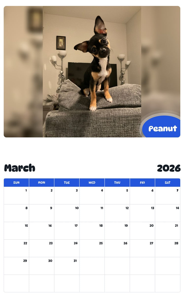 November 2025 - October 2026 Peanut - Pawidols Pet Calendar