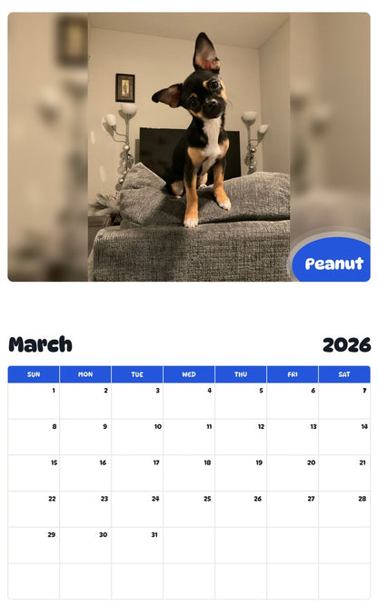 November 2025 - October 2026 Peanut - Pawidols Pet Calendar
