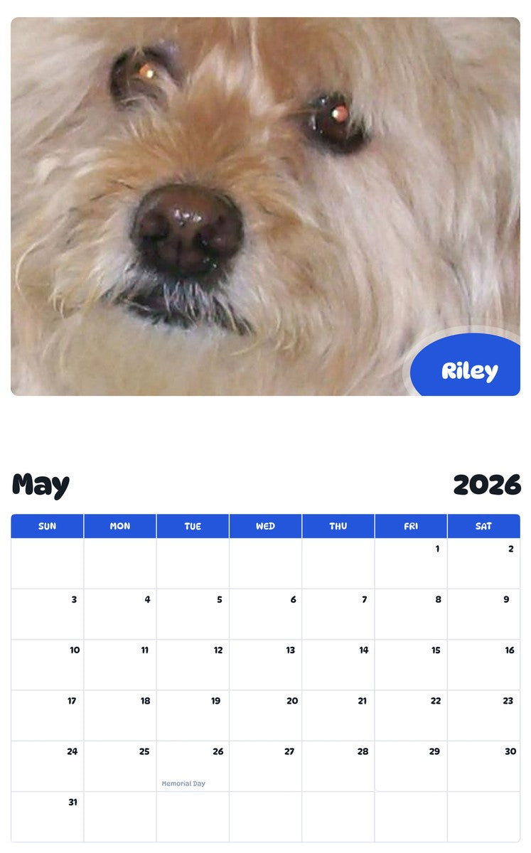 2026 - 2027 Riley - Pawidols Pet Calendar