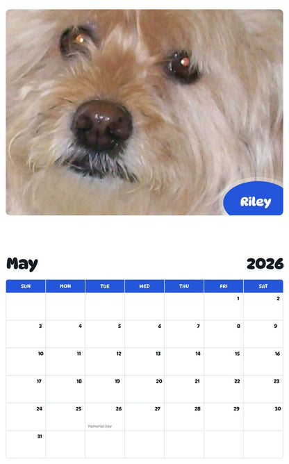 2026 - 2027 Riley - Pawidols Pet Calendar
