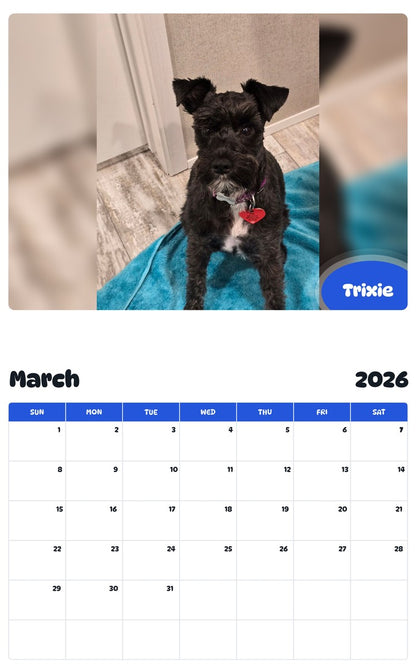 November 2025 - October 2026 Trixie - Pawidols Pet Calendar