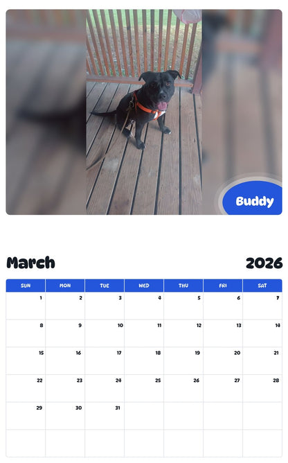 November 2025 - October 2026 Buddy - Pawidols Pet Calendar