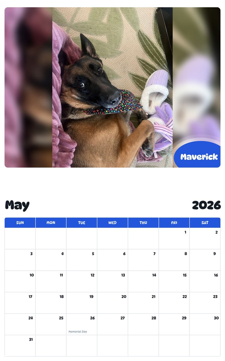 2026 - 2027 Maverick - Pawidols Pet Calendar