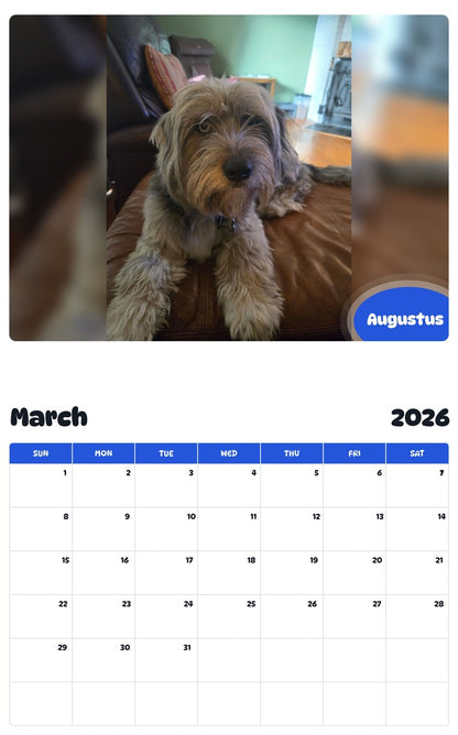 November 2025 - October 2026 Augustus - Pawidols Pet Calendar