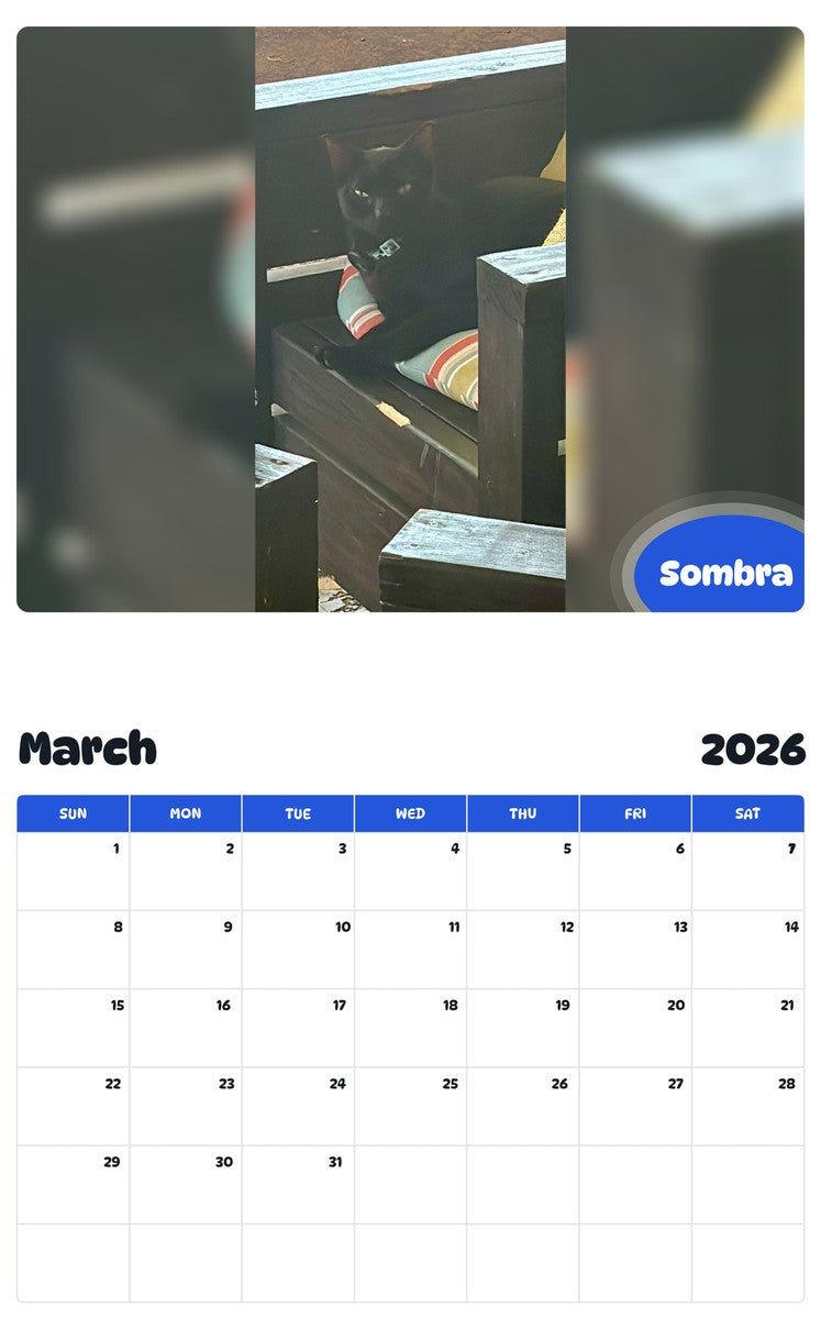 November 2025 - October 2026 Sombra - Pawidols Pet Calendar