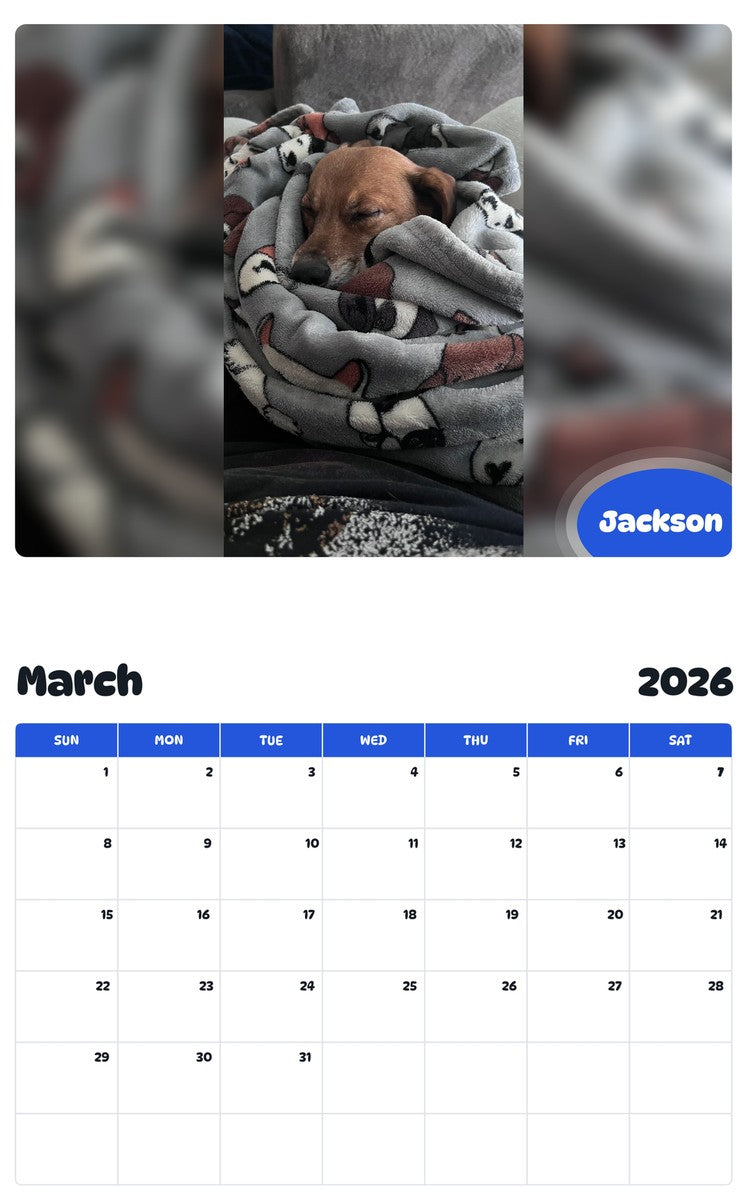 November 2025 - October 2026 Jackson - Pawidols Pet Calendar