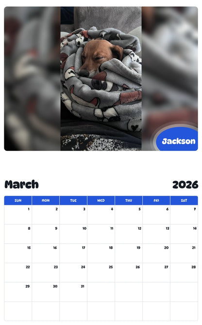 November 2025 - October 2026 Jackson - Pawidols Pet Calendar