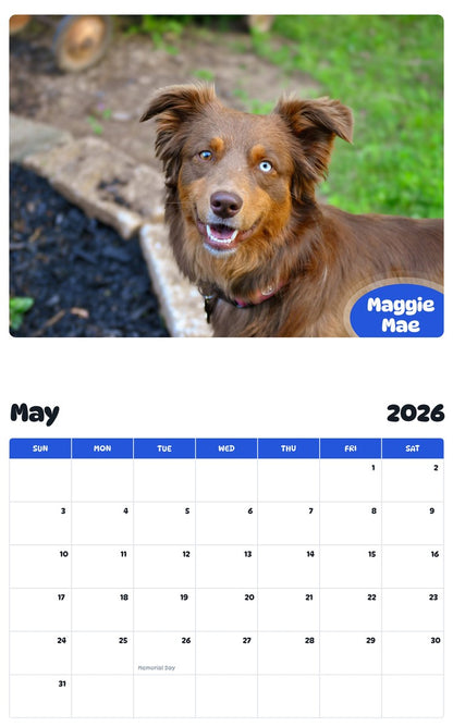 2026 - 2027 Maggie Mae - Pawidols Pet Calendar