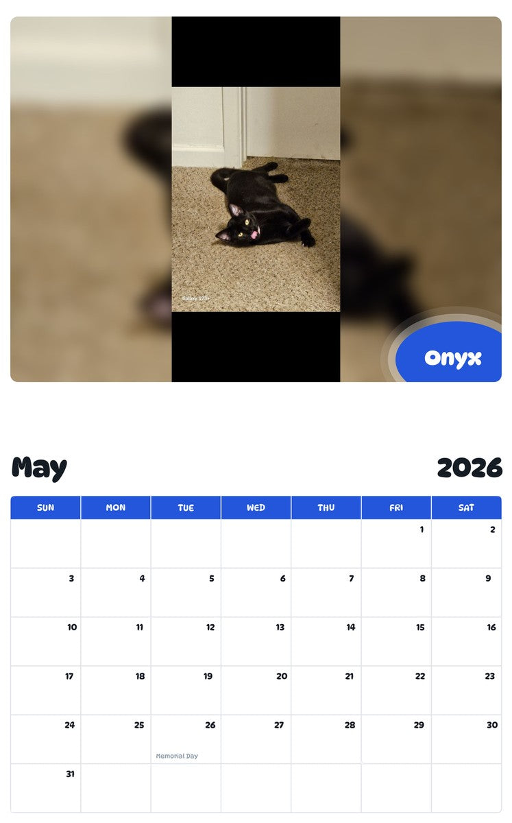 2026 - 2027 Onyx - Pawidols Pet Calendar