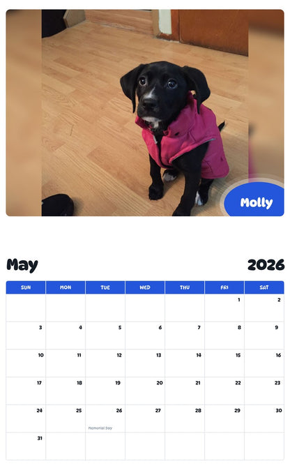 2026 - 2027 Molly - Pawidols Pet Calendar
