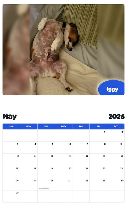 2026 - 2027 Iggy - Pawidols Pet Calendar